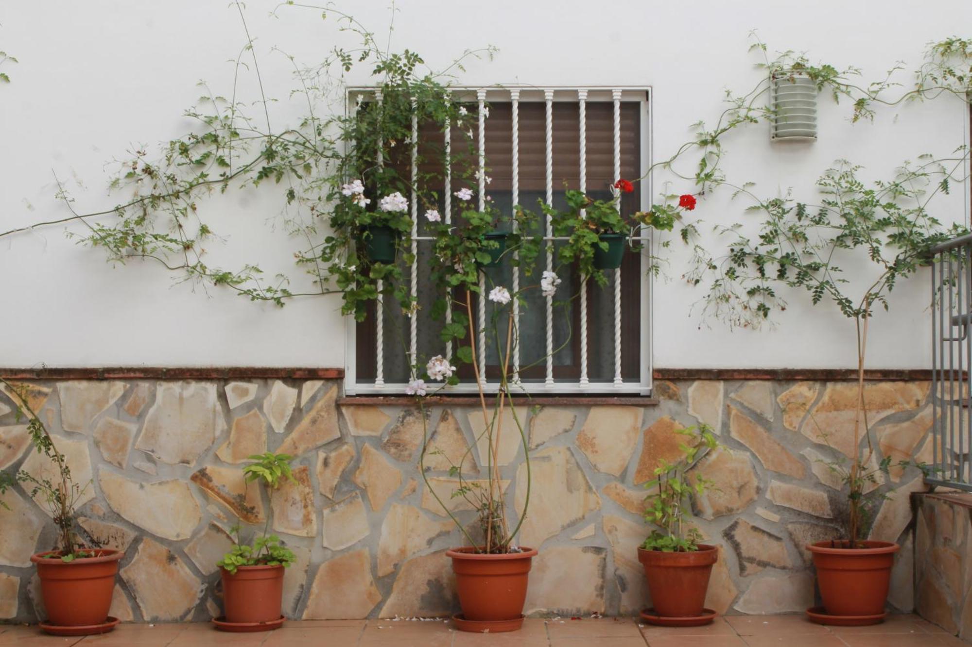 Casa Secreta Velez-Malaga Centro Apartment Luaran gambar
