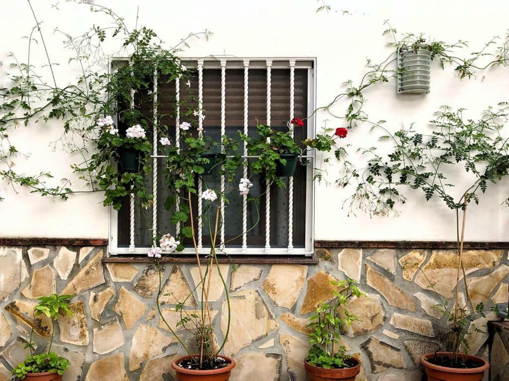 Casa Secreta Velez-Malaga Centro Apartment Luaran gambar
